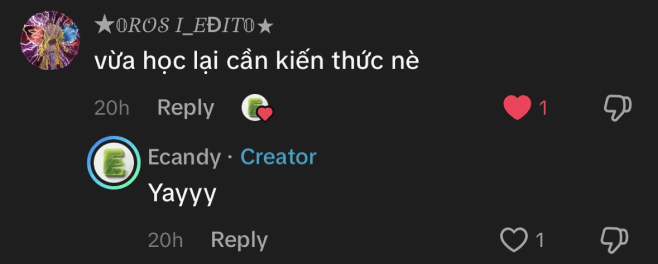 Bình luận của học sinh dùng Ecandy 1