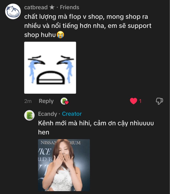 Bình luận của học sinh dùng Ecandy 8